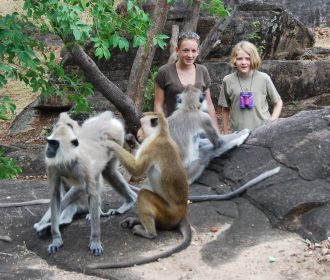 monkeys-in-polonnaruwa-sri-lanka-educational-holidays-in-sri-lanka-ceylon-expeditions