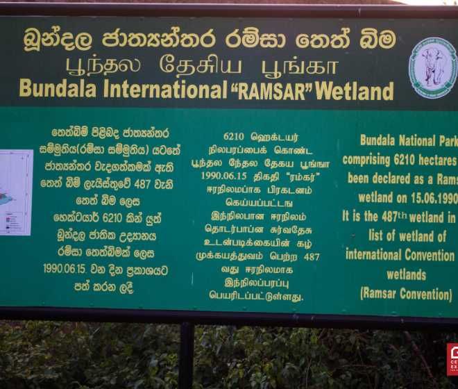 bunadala-national-park-wildlife-photography-tours-in-sri-lanka-ceylon-expeditions-travel-agent