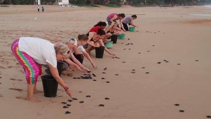 Volunteering Holidays Sri Lanka