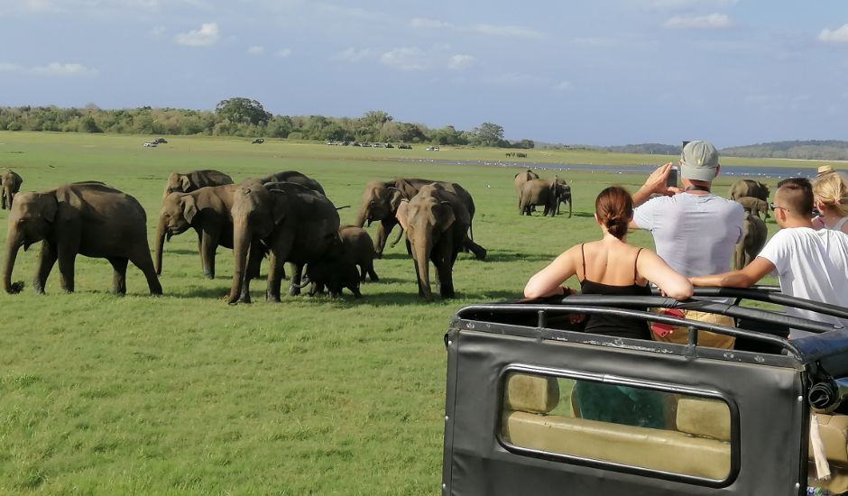 jeep-safari-minneriya-national-park-ceylon-expeditions-travels