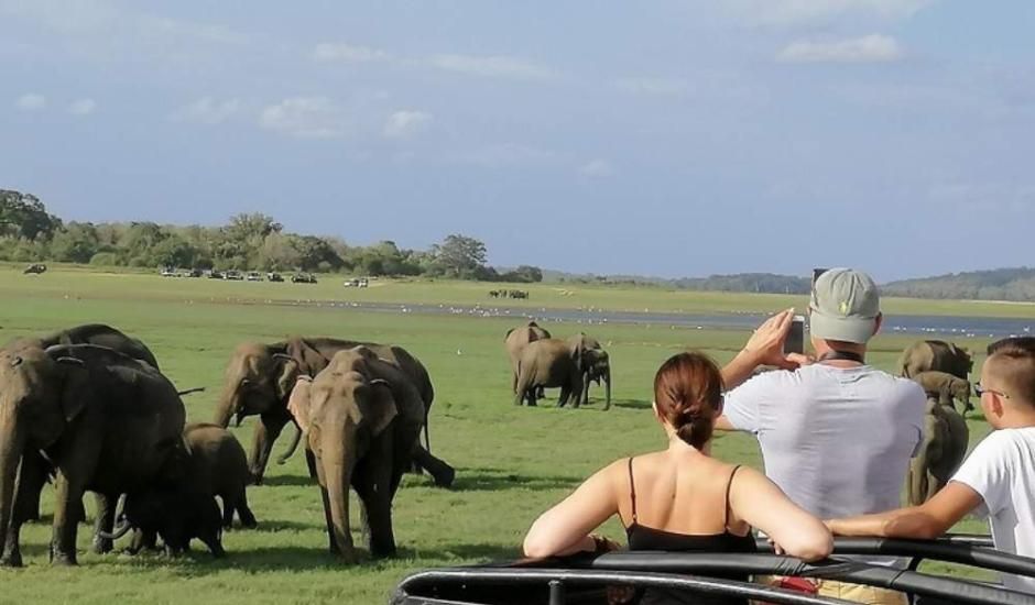 wildlife-safari-at-minneriya-national-park-ceylon-expeditions-travel-agency