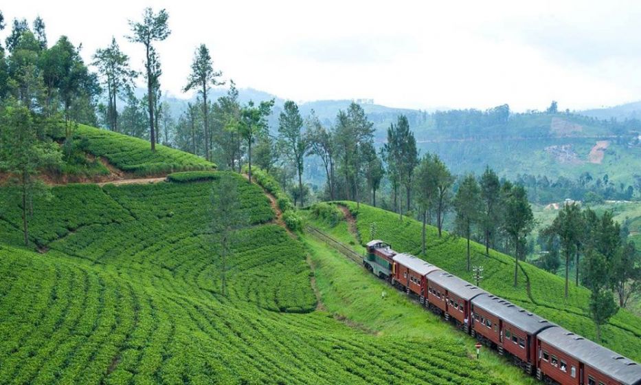 kandy-to-ella-train-sri-lanka-honeymoon-tour-packages-ceylon-expeditions-sri-lanka-travel-agent