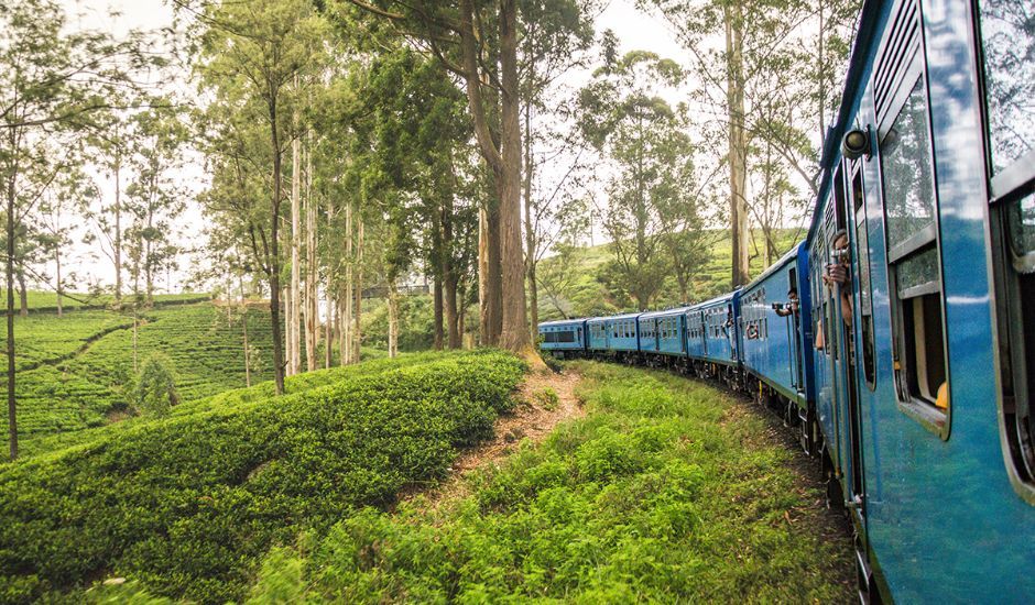 ella-odyssey-train-sri-lanka-family-holiday-sri-lanka-ceylon-expeditions