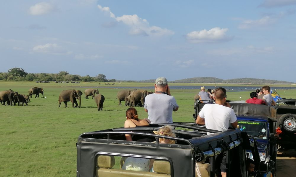 Safari-Ride-Family-Adventure-Holidays-Sri-Lanka-Ceylon-Expeditions
