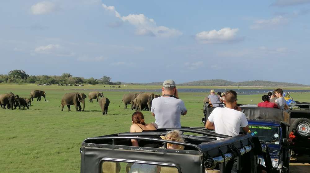 minneriya-national-park-cultural-tour-sri-lanka-ceylon-expeditions-travel-agents-sri-lanka