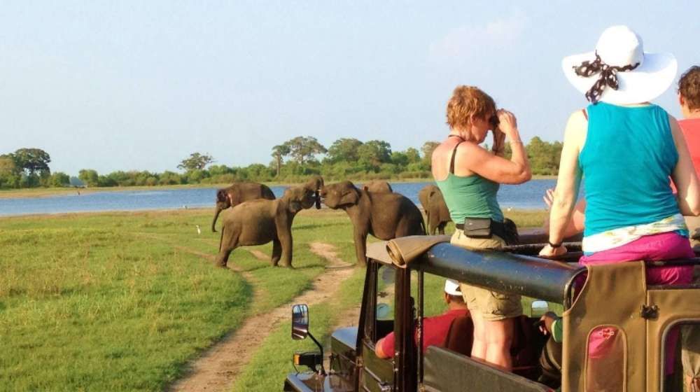 Minneriya-National-park-Bespoke-holidays-to-sri-lanka 