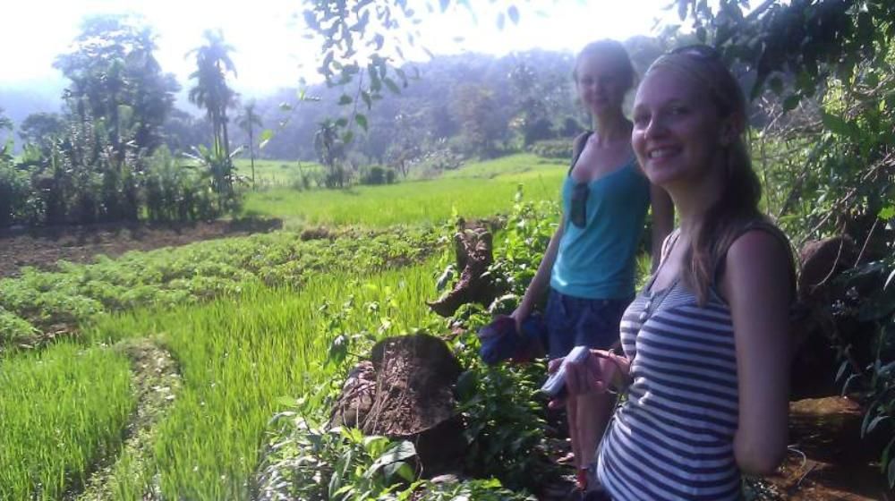 Tea-Plantation-Activity-Holidays-Sri-Lanka-Ceylon-Expeditions