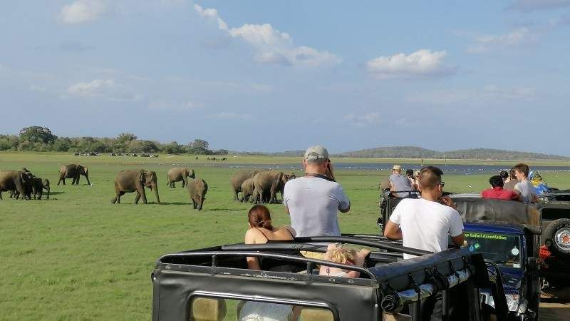 minneriya-national-park-polonnaruwa-family-holiday-sri-lanka-ceylon-expeditions