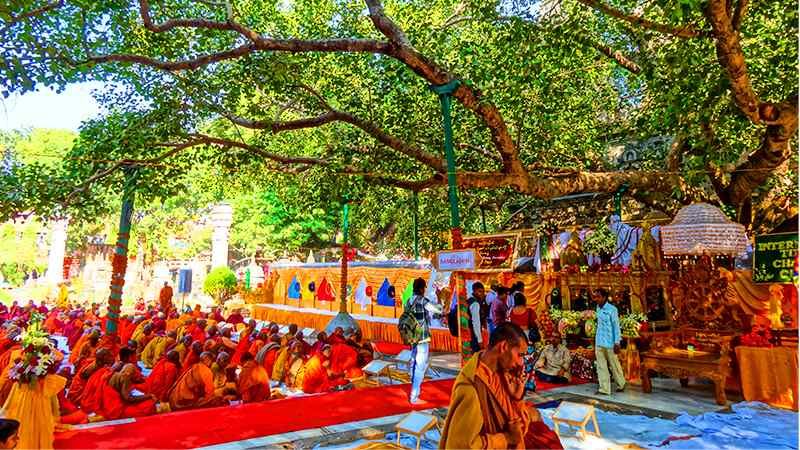 sri-maha-bodhi-anuradhapura-sri-lanka-family-olidays-ceylon-expeditions